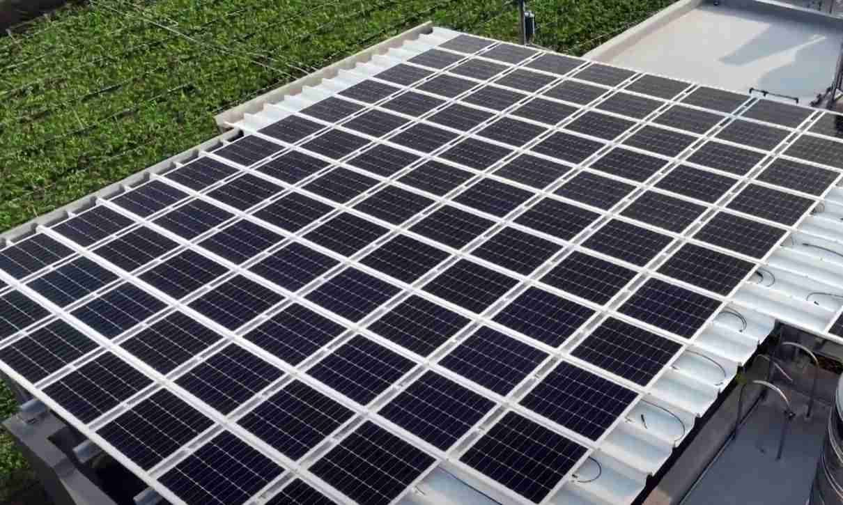 彩神vllSunSteel光电浪板升级双玻结构，，，以提升机械负载强度及气候耐候度，，，可广泛运用于多元场域